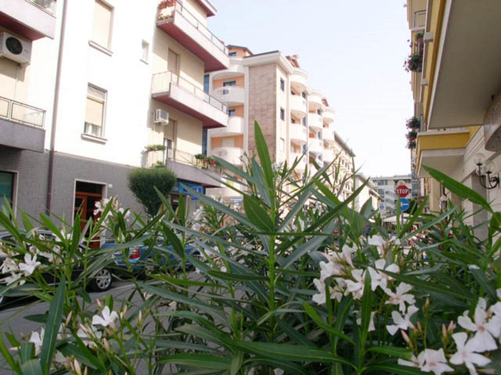 Mirage * Grado